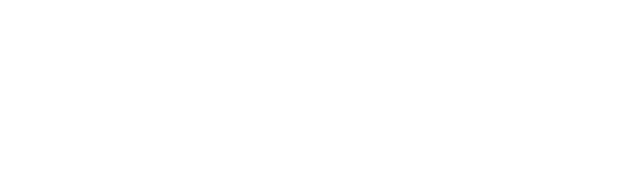 CÔNG TY TNHH THƯƠNG MẠI HỒNG ÂN VIỆT NAM